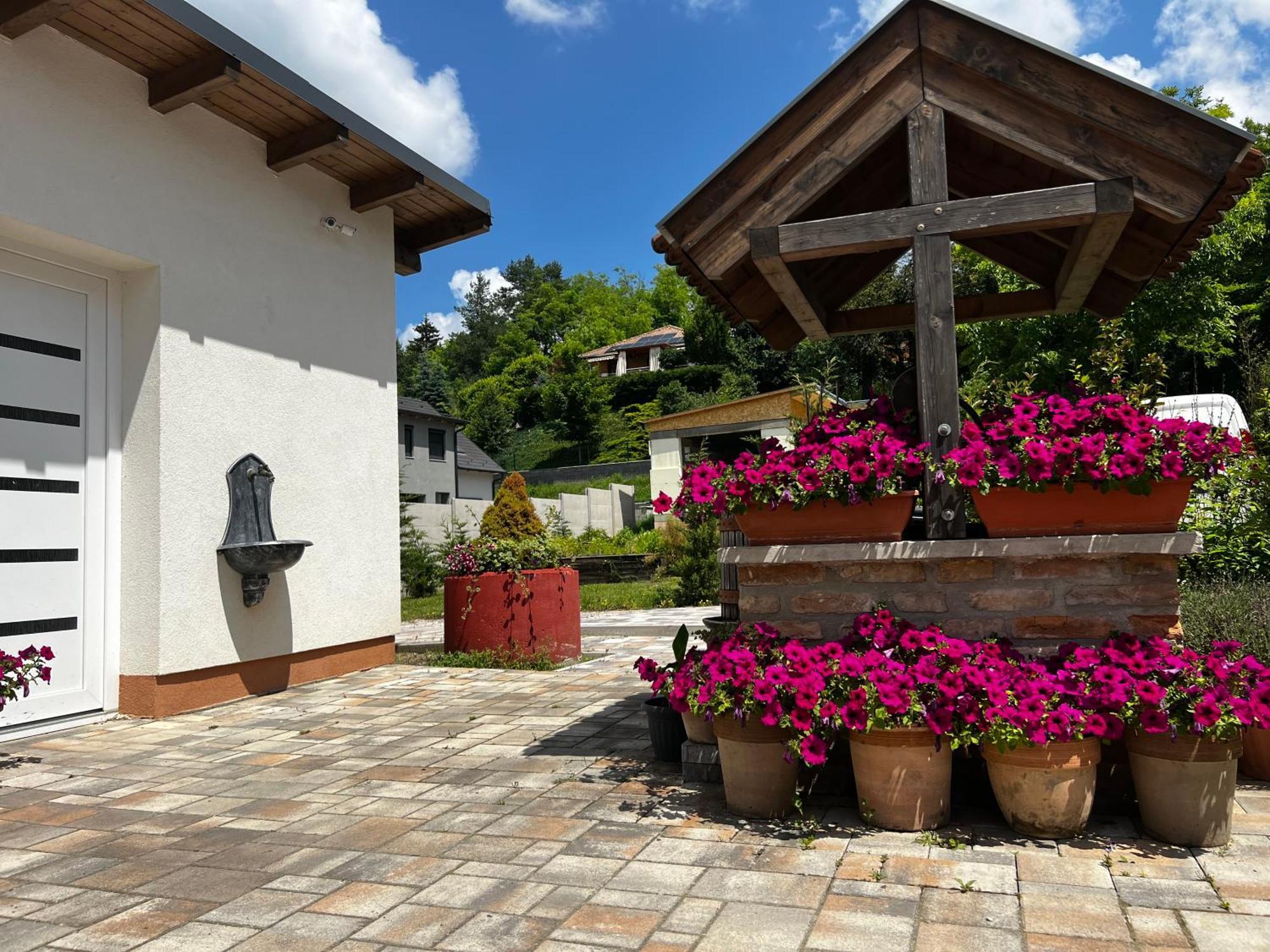 Bed and Breakfast Dreko Panzio & Borbisztro Gyorujbarat Екстер'єр фото